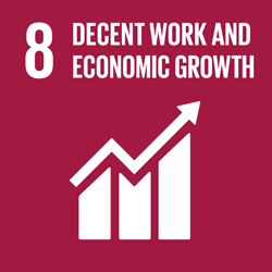 Decent work and economic growth - Goal 8
